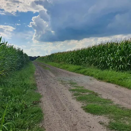 アパート Zwischen Den Feldern