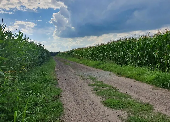 Appartement Zwischen Den Feldern