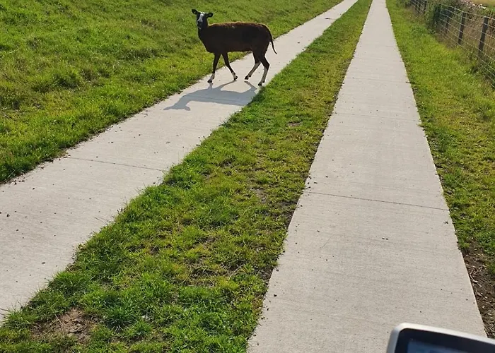 Appartement Zwischen Den Feldern Apen